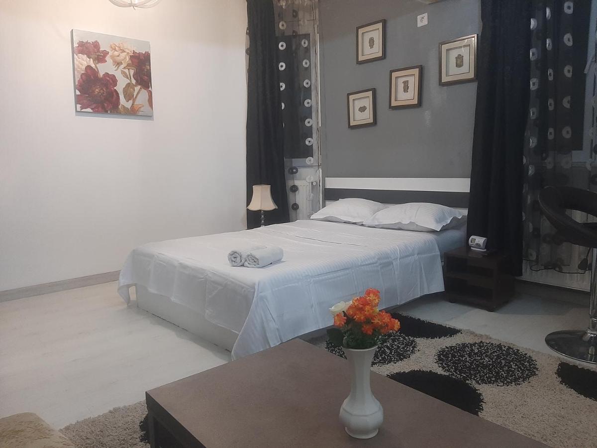 Апартаменти Studio Calea Victoriei Бухарест Екстер'єр фото